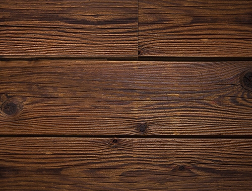 环保玉米影视黄APP入口